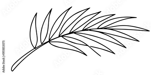 Palm Frond Line Art, Minimalist continuous-line drawing of a palm frond with elongated leaves.