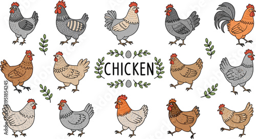 Charming Hand Drawn Poultry Character Set Featuring Thirteen Diverse Chickens and Roosters for Organic Farm Branding and Rural Agriculture Graphics