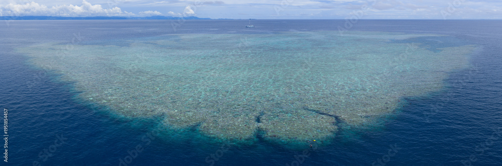 Fototapeta premium Seen from a bird's eye view, an impressive platform reef, named 
