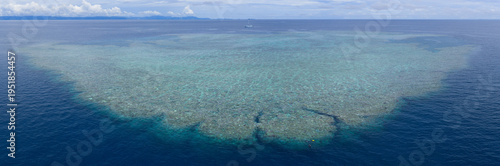 Seen from a bird's eye view, an impressive platform reef, named 