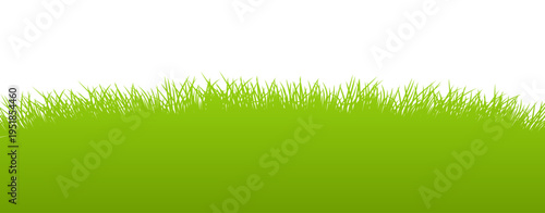 Vibrant green grass border with a clean white background, ideal for spring and nature-themed designs.