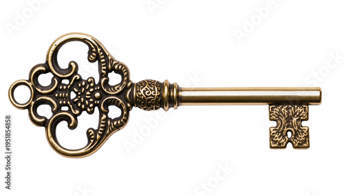 Bild auf Leinwand Ornate antique golden skeleton key, beautifully detailed with intricate patterns