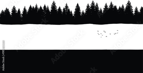 Forest silhouette landscape with pine trees and birds, nature horizon scene, woodland illustration, outdoor environment concept, black and white vector background