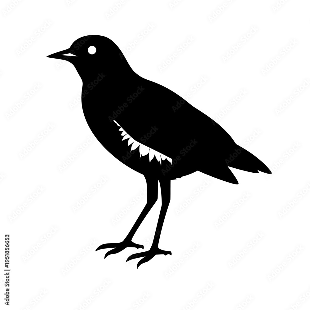 Fototapeta premium Black Bird Silhouette: A minimalist black silhouette of a bird, showcasing its elegant form and simple beauty, perfect for use in various design projects. 