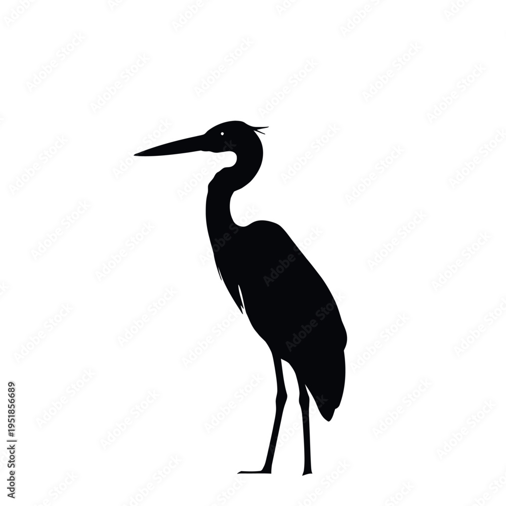 Obraz premium Elegant Silhouette: A stark silhouette of a heron, standing tall and serene, captures the grace of this avian marvel.