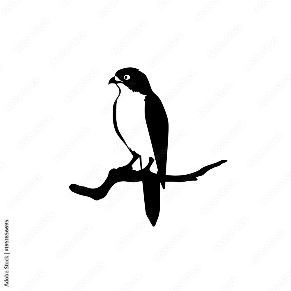 Fototapeta premium Silhouette Bird on a Branch: A minimalist silhouette of a bird perches gracefully on a sturdy branch, exuding a sense of calm and the beauty of nature.