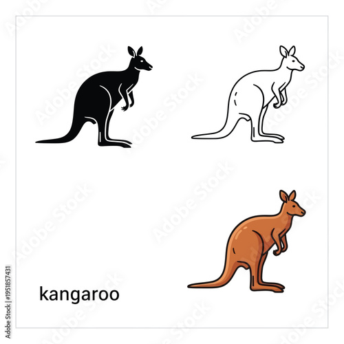 Kangaroo illustration set in three styles black outline orange and silhouette isolated