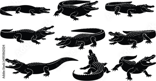 Crocodile alligator illustration set, reptile artwork, wildlife vector design, bold graphic icon, black white animal symbol
