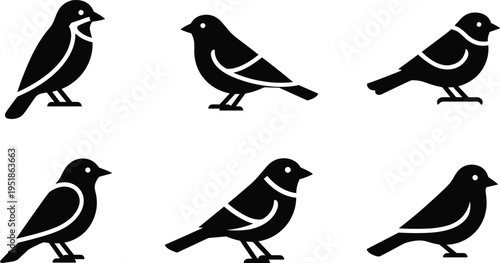 Black silhouette icons of stylized birds in side profile with varied wing, tail, and body designs for branding, iconography, and educational illustration