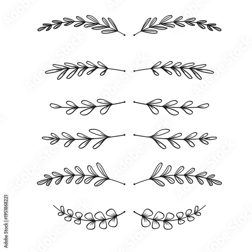 Botanical Divider Leaves Line Separator Vintage Hand Drawn Collection.Vector Illustration