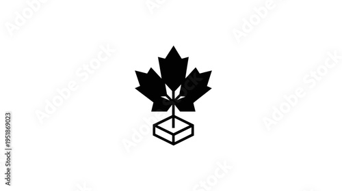 Stylized Black Maple Leaf with Cannabis Plant Icon, Representing Legalization and Modern Marijuana Industry