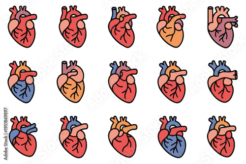 Set of human heart illustrations, anatomical medical organ with arteries and veins, representing health and cardiology, vector art on transparent background