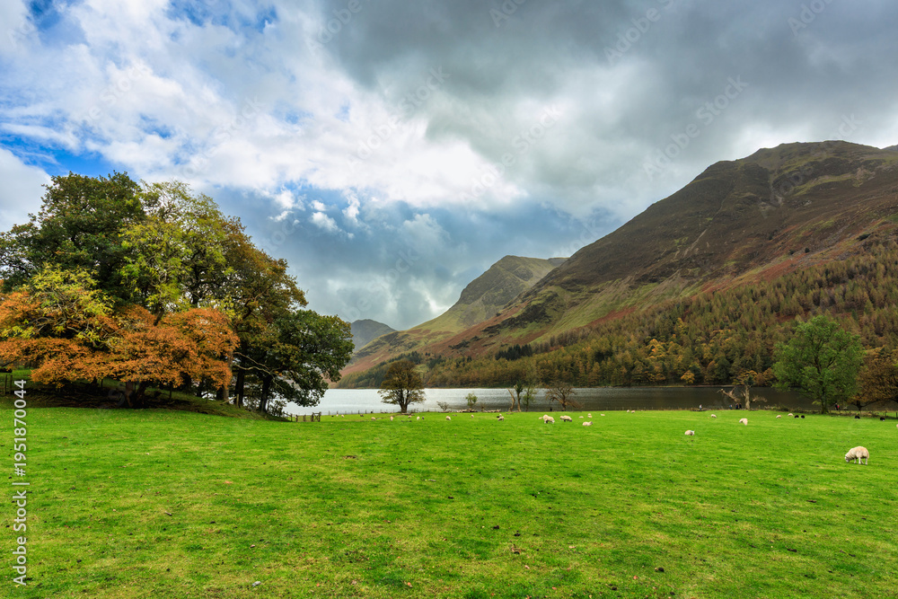 Fototapeta premium Beautiful autumn landscape of England. United Kingdom