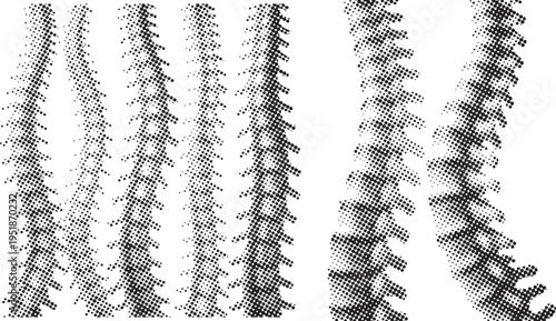 Abstract vertical pattern of black dots forming textured rows and lines isolated on white