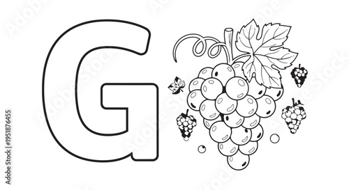 Grapes illustration displays a luscious bunch of fruit with leaves and vines next to the prominent letter G, suitable for a food-themed alphabet book.