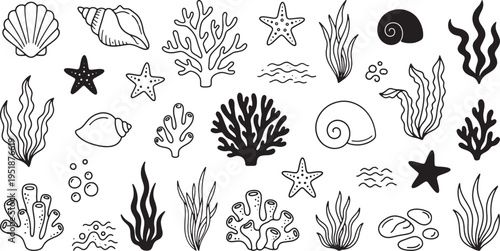 Hand drawn illustration of coral reef and seaweed in an aquarium setting perfect for marine biology oceanography or underwater themed designs