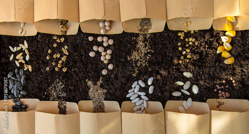 Seeds in bags on the soil. Selective focus.