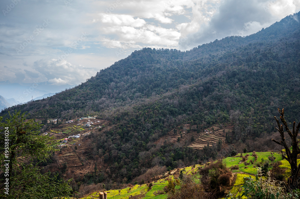 Obraz premium Landscape of Triyuginarayan village in the Garhwal Himalayas, with colorful houses, terrace farms, and forests of pine, oak, rhododendron, and deodar under misty mountains and monsoon clouds.