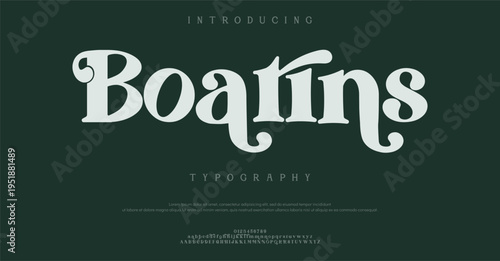 Foto Introducing Boarins Typography Font Style