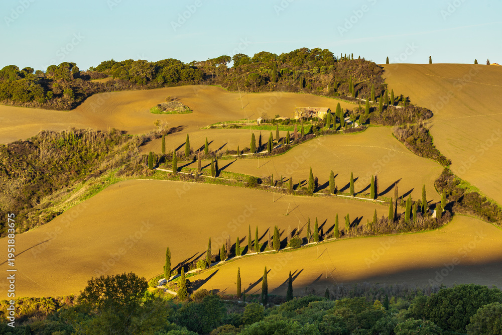 Fototapeta premium Tuscan landscape with cypress trees winding road at sunset, La Foce, Italy.