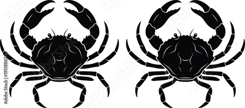 Detailed crab silhouettes pair marine crustacean sea life seafood illustration isolated black ocean animal design for wildlife graphics projects