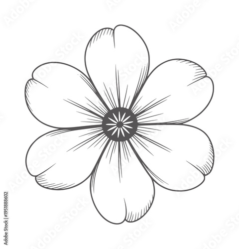 Black and white line of a single five petal flower