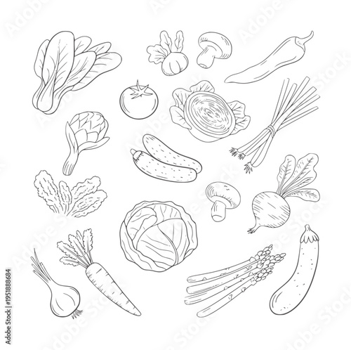 Black and white line of assorted fresh vegetables food organic healthy