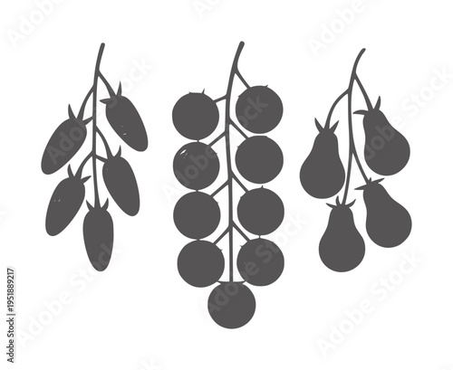 Three clusters of dark gray oval and round fruits white