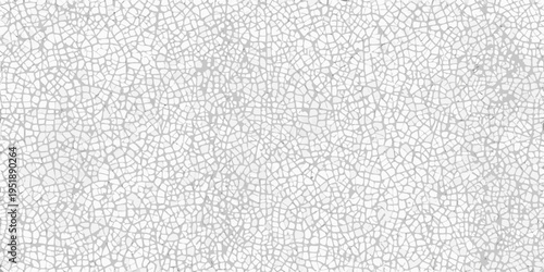 Intricate network of cracks resembling a fractured white surface texture