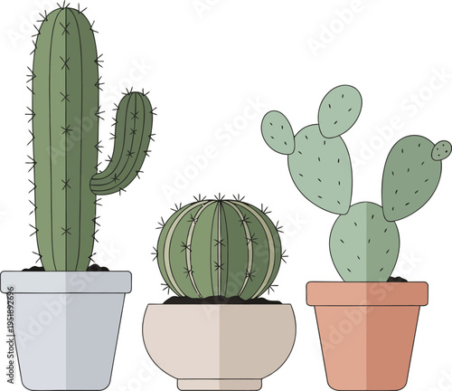 Collection of three different cactus plants in modern ceramic pots with flat design style for home decor vector elements