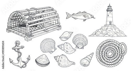 Hand drawn nautical elements set with marine life and fishing gear.