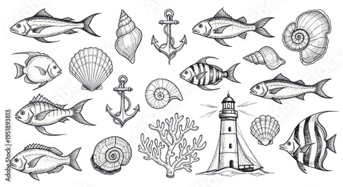 Hand-drawn sketch collection of various marine life and nautical elements.