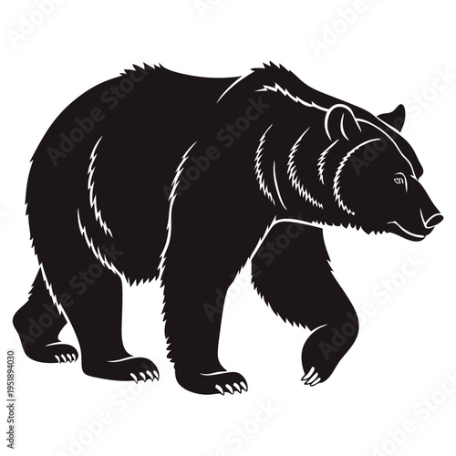 Black bear silhouette walking, vector illustration of a wild grizzly animal