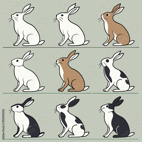 Set of cute cartoon rabbits in different colors and patterns sitting in profile view illustration