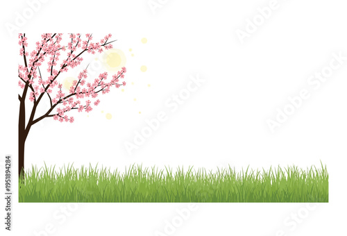Beautiful vector illustration featuring a stylized dark tree trunk blooming with delicate pink cherry blossoms and vibrant green grass blades along the bottom edge on transparent background