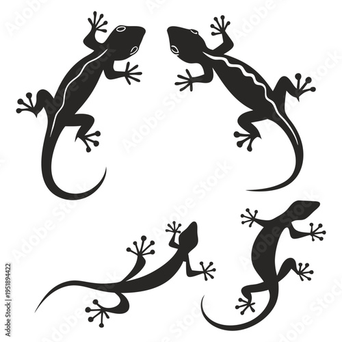 Set of black lizard silhouettes in various poses