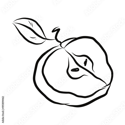Minimal apple half line drawing showing seeds and fruit core. Healthy organic food illustration and fresh fruit concept. Vector hand drawn illustration.