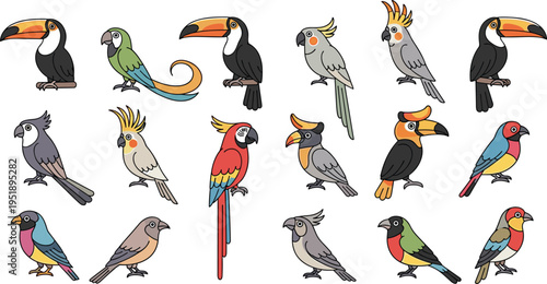 Collection of exotic tropical birds and parrots isolated on white background