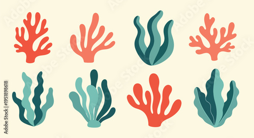 Diverse Aquatic Flora Displayed on a Cream Canvas Surface Featuring Vibrant Red and Teal Algae Set Against Light Backdrop Offering Natural Visual Appeal for Decorative and Thematic Designs