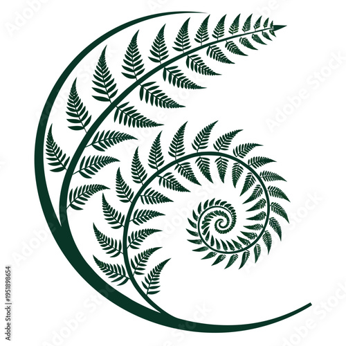 Fern Leaf Logo Spiral Shape Organic and Natural vector illustration
