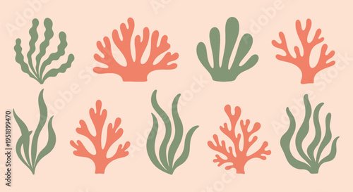 Oceanic Aquatic Flora Representation Featuring Seaweed Plants and Algae for Decorative Purposes Depicting a Variety of Underwater Botanical Forms Suitable for Various Applications and Projects