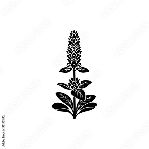 Monochrome botanical illustration of acanthus leaf plant vector art design isolated