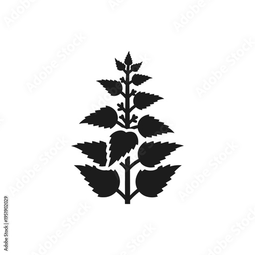 Cannabis leaf icon isolated black vector illustration medical marijuana symbol