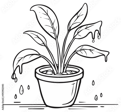 Outlined houseplant in a pot with dripping water cartoon illustration, gardening themed illustration, leafed stems and water droplets