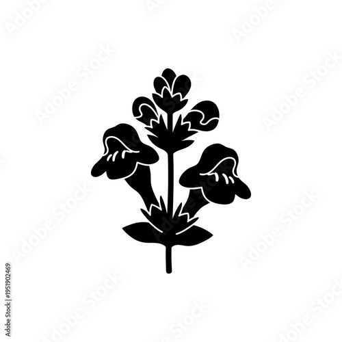 Monstera leaf black silhouette isolated on white minimalist botanical art design