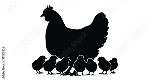 A striking black silhouette depicts a mother hen sheltering and protecting her small fluffy chicks nearby high quality professional