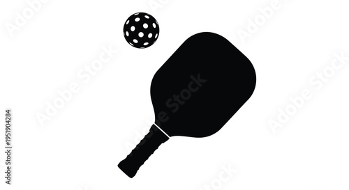 A stark black and white illustration depicts a pickleball paddle and a ball in mid air suggesting active gameplay high quality professional
