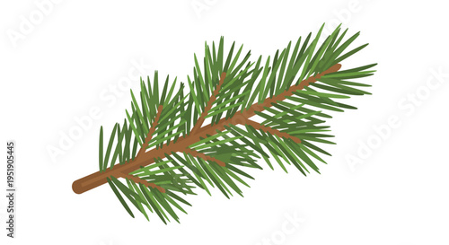 A sprig of evergreen foliage rests upon a plain field suitable for winter holiday designs christmas themed compositions and forest themed projects creating a natural and seasonal element