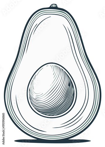Detailed Illustration of a Cut Avocado Showing Seed in Crosshatch Style