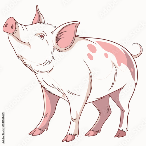 Hand drawn illustration of a cute piglet